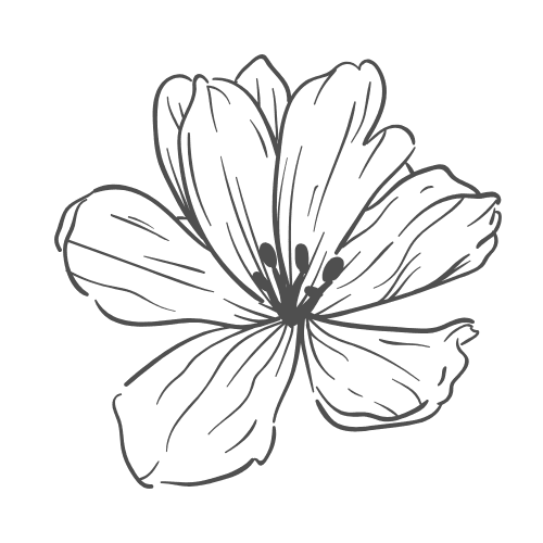 3 - 120 minute massage at Inspirational Touch Massage in Land O’ Lakes, WI